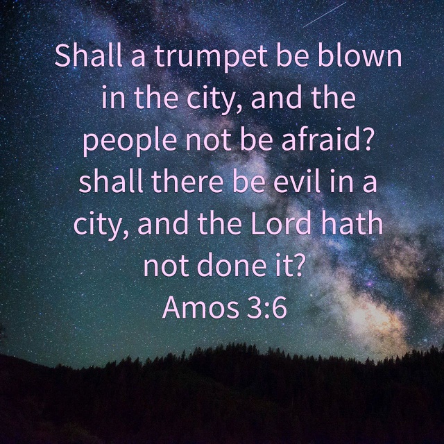amos 3 3-6